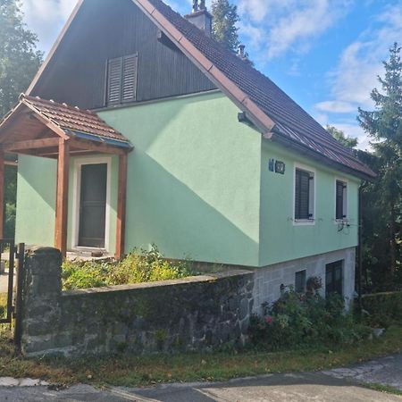 Forest Chalet Zalesina Екстериор снимка