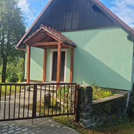 Forest Chalet Zalesina Екстериор снимка