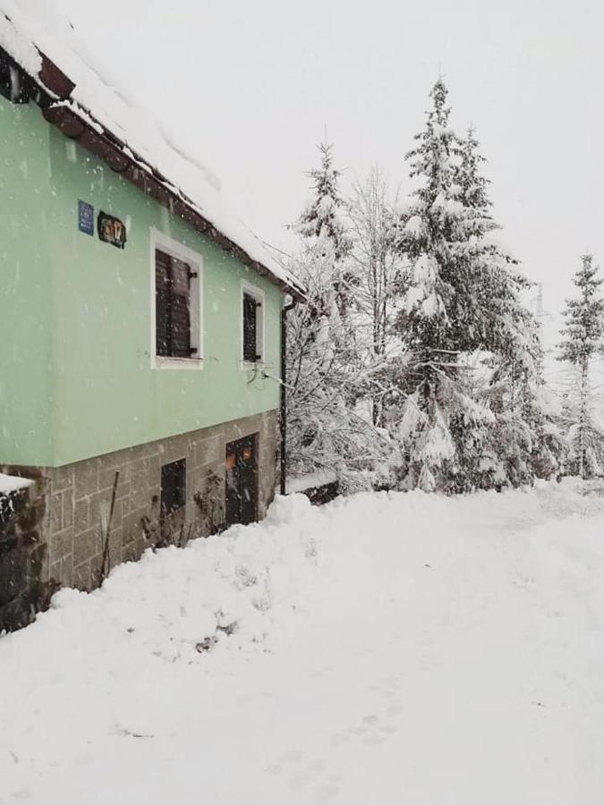 Forest Chalet Zalesina Екстериор снимка