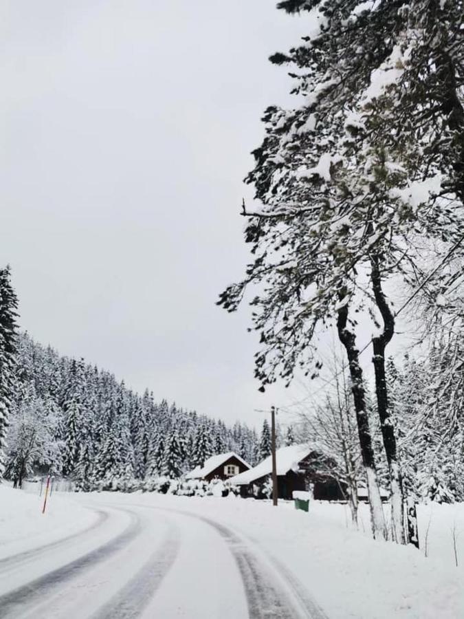 Forest Chalet Zalesina Екстериор снимка